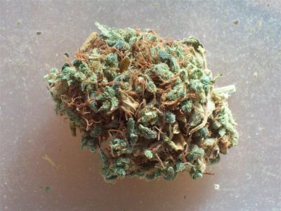 Sweet Skunk nug.jpg