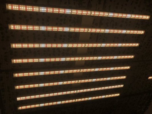 Led light suggestion