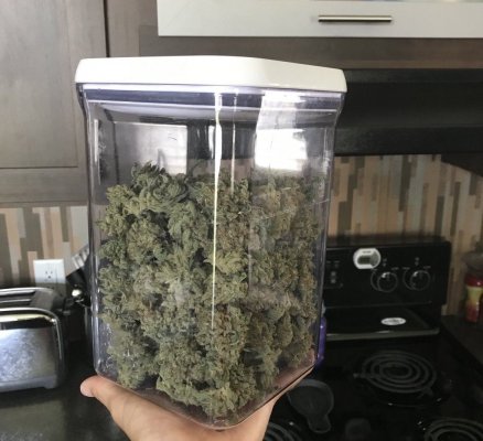Pot size in coco