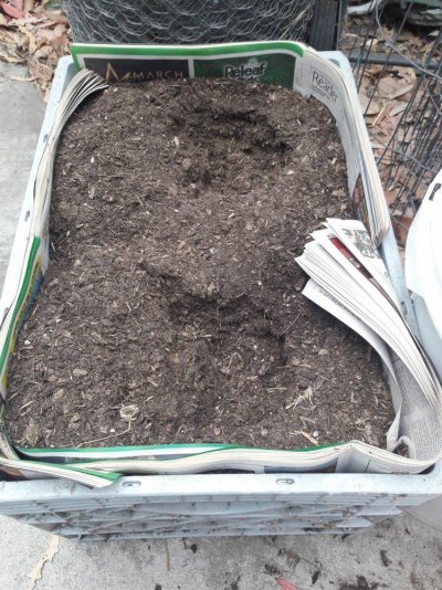 Plumbers Grow Diary