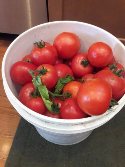 20190728_171935.jpg