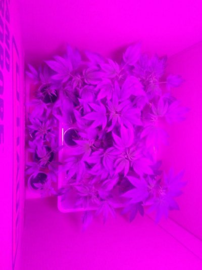 20190730_085649.jpg