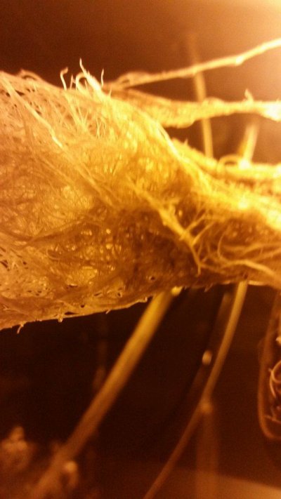 20190730_131358.jpg
