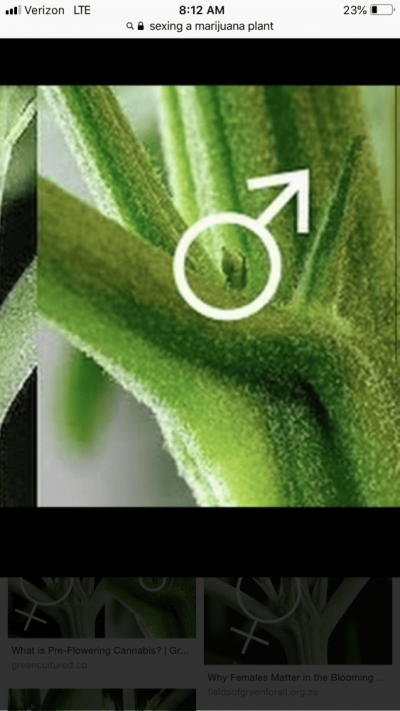 0E59DC36-C538-4EDF-B5D1-51922A6E0DEB.png