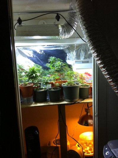 setup2.jpg
