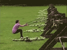 tumblr_l8g0zmVQgH1qzpwi0o1_400.gif