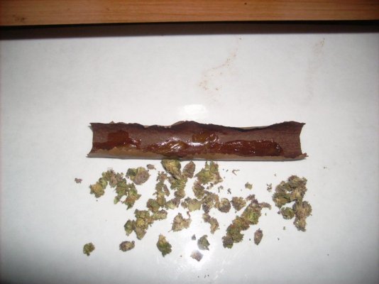 Whatcha Puffin