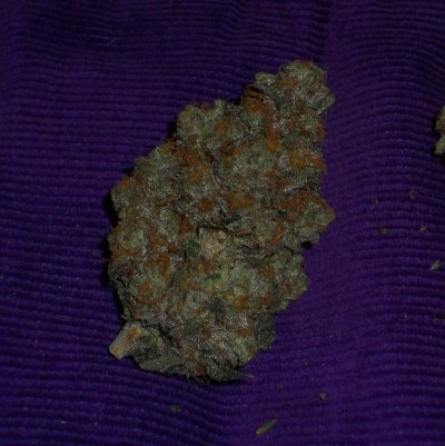 DSCN1722.JPG
