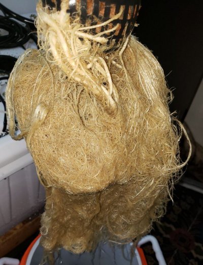 20190322_192800-2.jpg