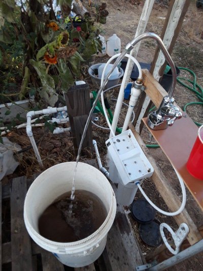 Plumber's First Coco Grow