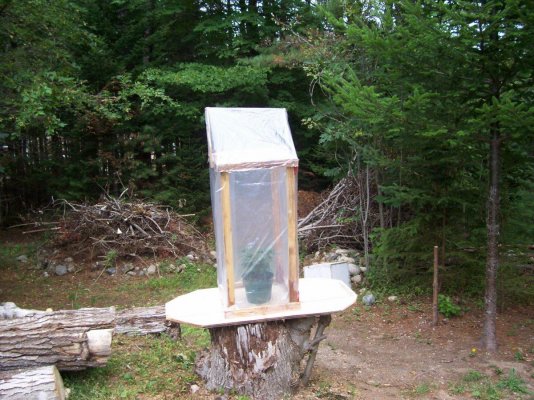 Greenhouse.JPG