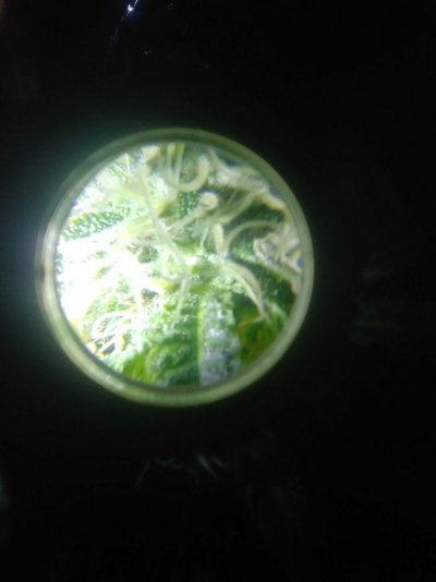 20190830_170752_HDR.jpg