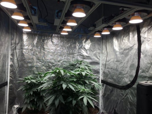 Opinions on diy cob lights!