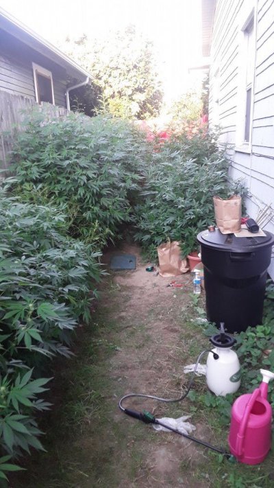 Outdoor growing