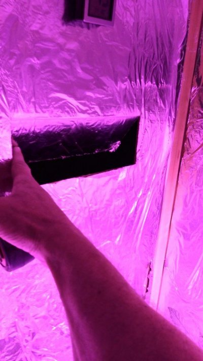 indoor-grow-newbie-5.jpg