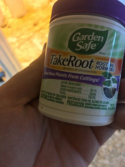 Growth Hormones for flowering stage.
