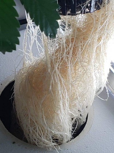 20190914_222650.jpg