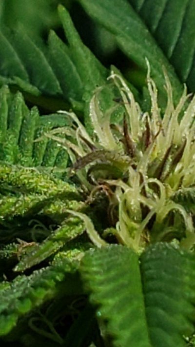 20190917_133447.jpg