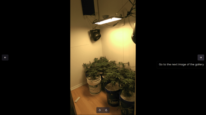 a-grow-diary-2.png