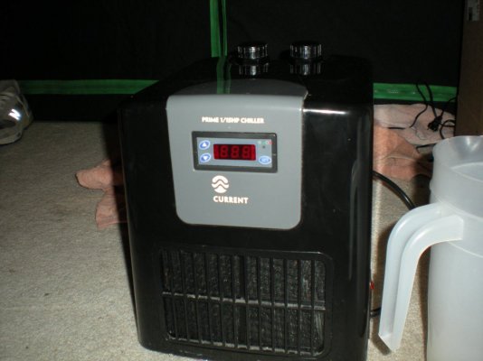 9.15.10 008.jpg