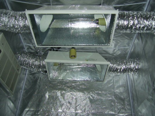 Dehumidifier Idea For My Tent. Will it Work?