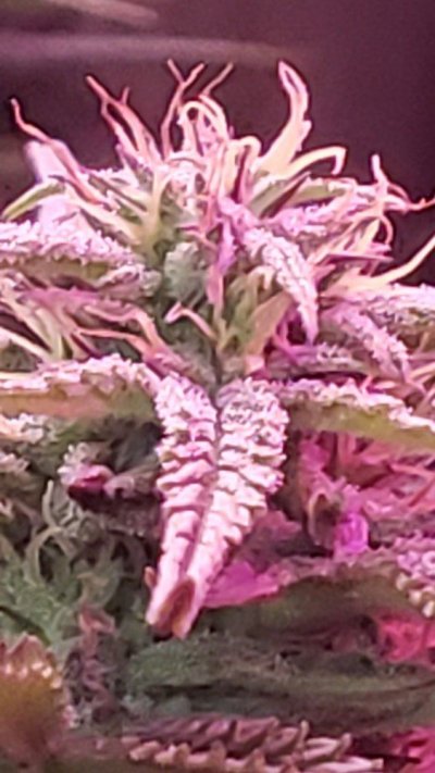 20190923_121056.jpg