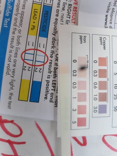 20190926_123841.jpg