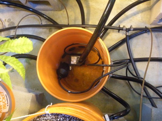Removing runoff after feeding **IDEAS**
