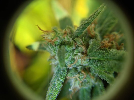 WhatsApp Image 2019-10-02 at 8.59.34 AM.jpeg