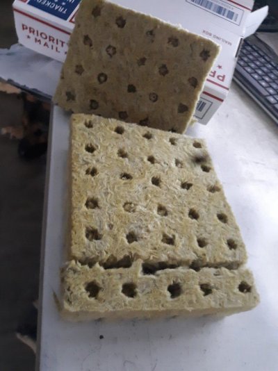 20191005_135727.jpg