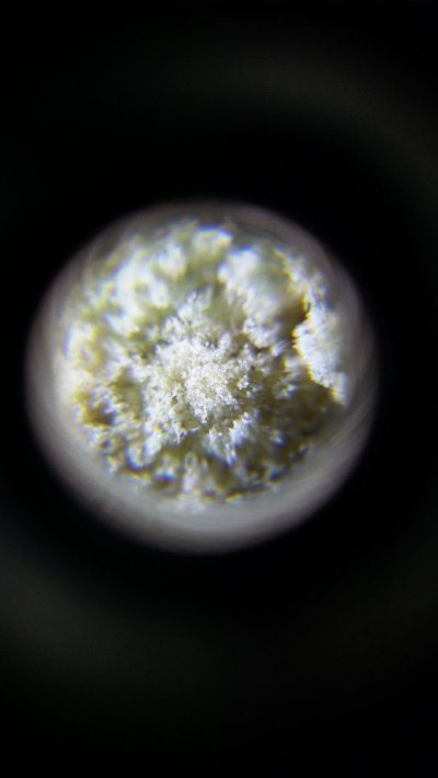 20191009_161734.jpg