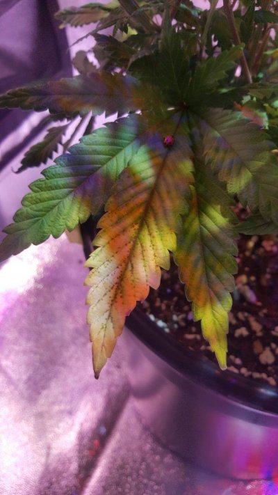 20191010_212536.jpg