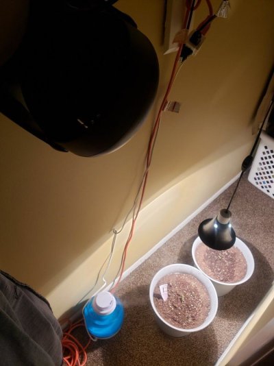 new-member-with-first-grow.jpg