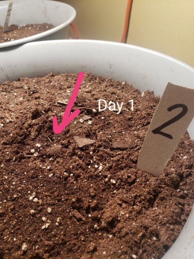 new-member-with-first-grow-3.jpg