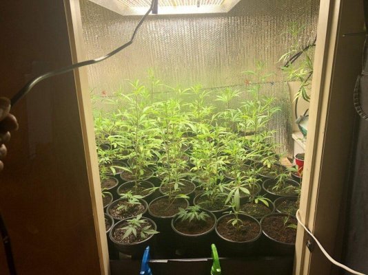 Mars Hydro LED