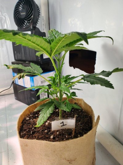 20191106_201917.jpg