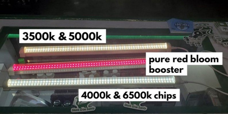 spectrum20191107103411.jpg