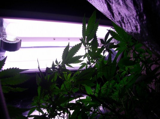 DSCN3042.JPG