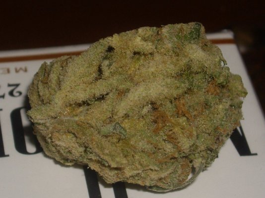 Some nugs that passed in front of me