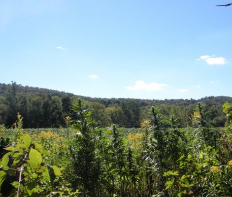 DSCN1041.JPG