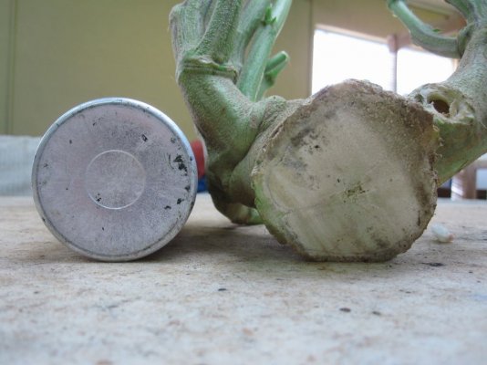 House & Garden Nutes., Under Current Systems, 30,000 Watts, 10 Tons of A/C, Co2