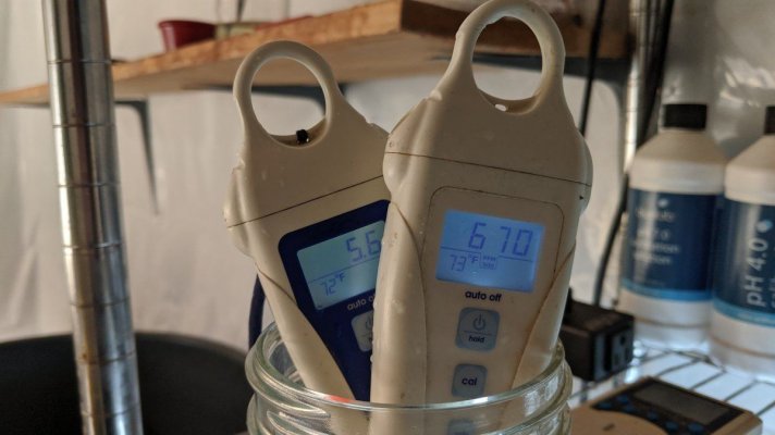 Dirtbags Hydroponics Thread.
