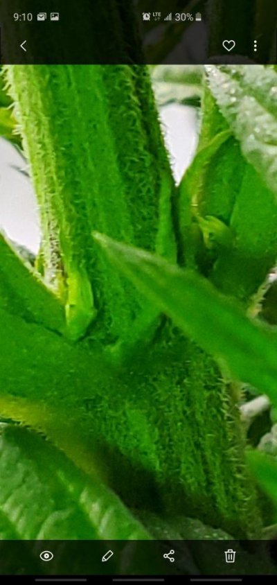 Screenshot_20191114-211016_Gallery.jpg