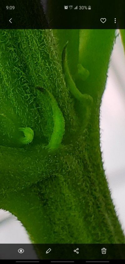 Screenshot_20191114-210917_Gallery.jpg