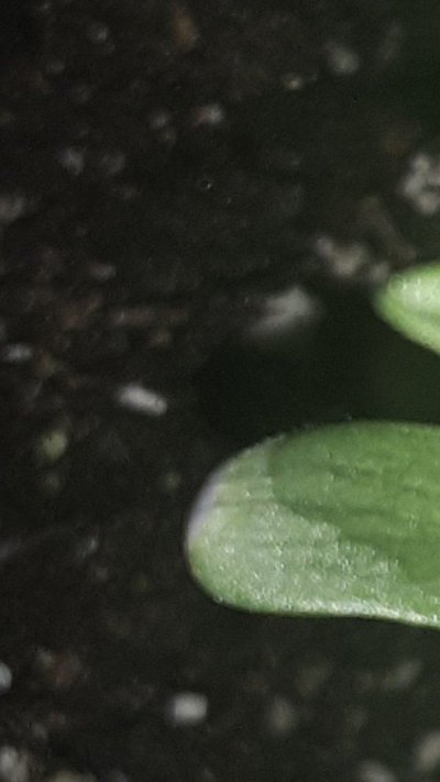 Screenshot_20191117-174813_Gallery.jpg