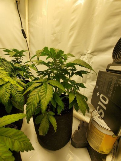20191118_205842.jpg