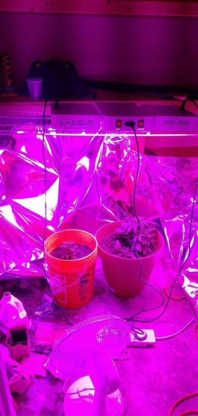 20191121_152858_HDR.jpg