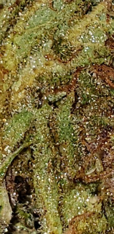 20191123_091841.jpg