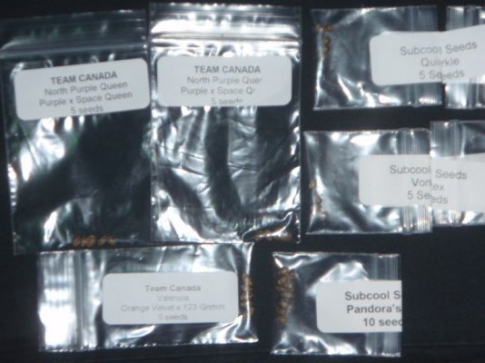 Seed Library_01.JPG