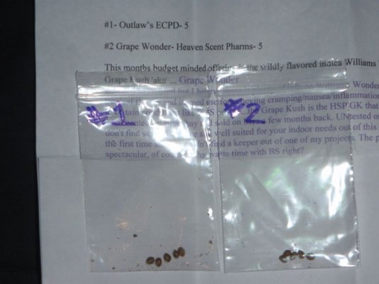 Seed Library_10.JPG
